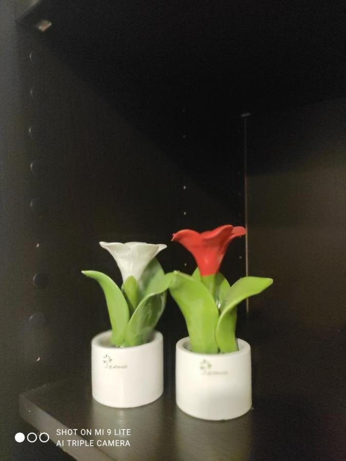 Casa Vacanze Zia Rose 那不勒斯 外观 照片