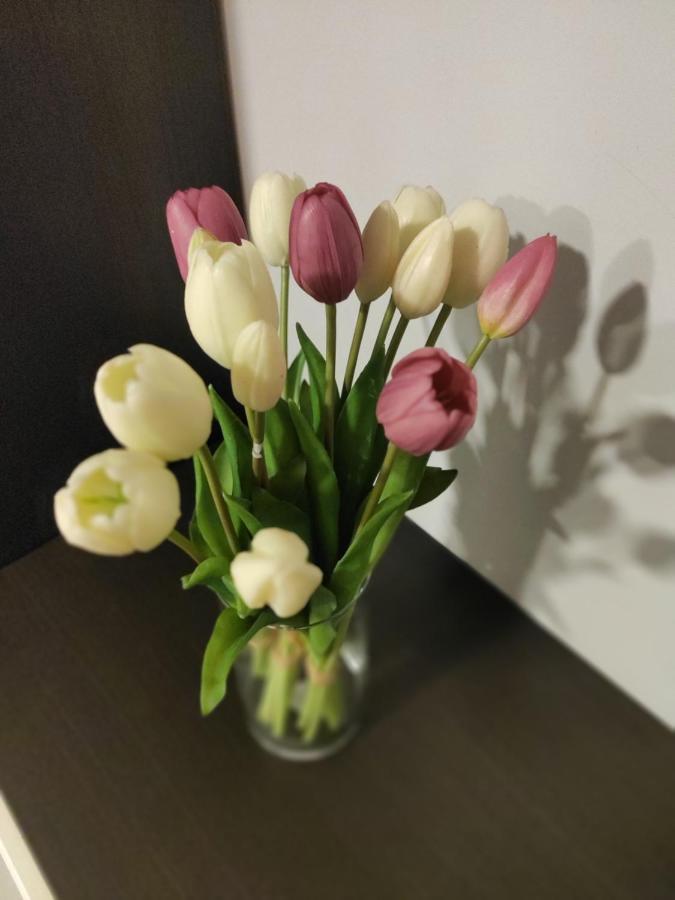 Casa Vacanze Zia Rose 那不勒斯 外观 照片